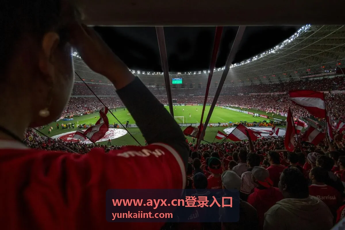 AYX登录入口账号安全验证内容封面